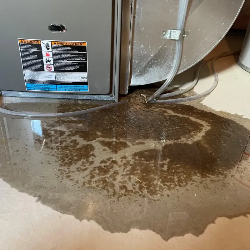 Appliance Leak Cleanup in Sharkey County, MS